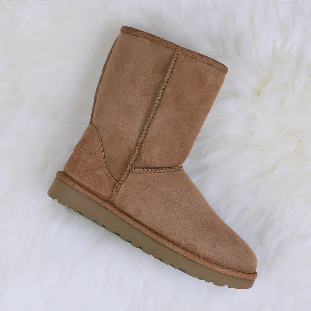 48673052066124|48673052098892|48673052131660|48673052164428|48673052197196|48673052229964