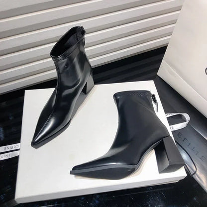 48821426618700|48821426651468|48821426684236|48821426717004|48821426749772|48821426782540